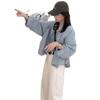Korean Style Lapel Short Shirt for Women - 2025 Spring Fashion, Petite Casual, Loose Slimming Top