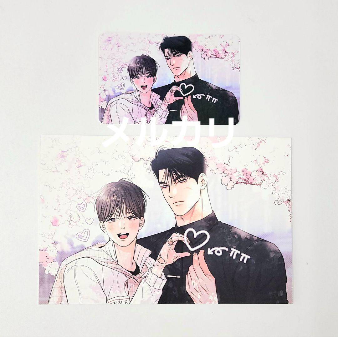 [USED] Daily Alba Bonus Postcard Photocard Korean BL
