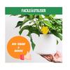 Indoor Gnat Traps – 20 Traps – Plant Fly Catcher - Ecological – Very Effective - Easy To Use - Up To 3 Months