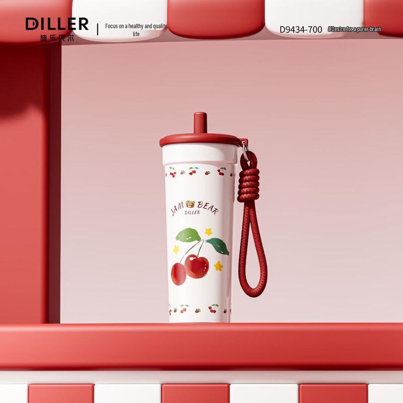 Diller Insulated Stainless Steel Water Bottle