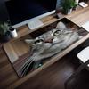 Gaming Mouse PadLarge Desk MatAntislip Rubber Base Stitched Edges Funny Cat Watermelon Art Print Extended Office Gamer Mat
