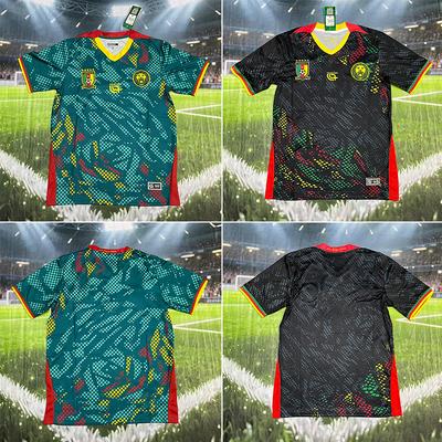 Cameroon Cameroon Host and Guest Jerseys Custom World Cup National Team Football Jerseys Short-sleeved Tops Cross-border Delivery