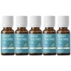 Blanc Nature 5x Highly Concentrated Magic Tea Tree Oil, 20ml, 5 Pcs