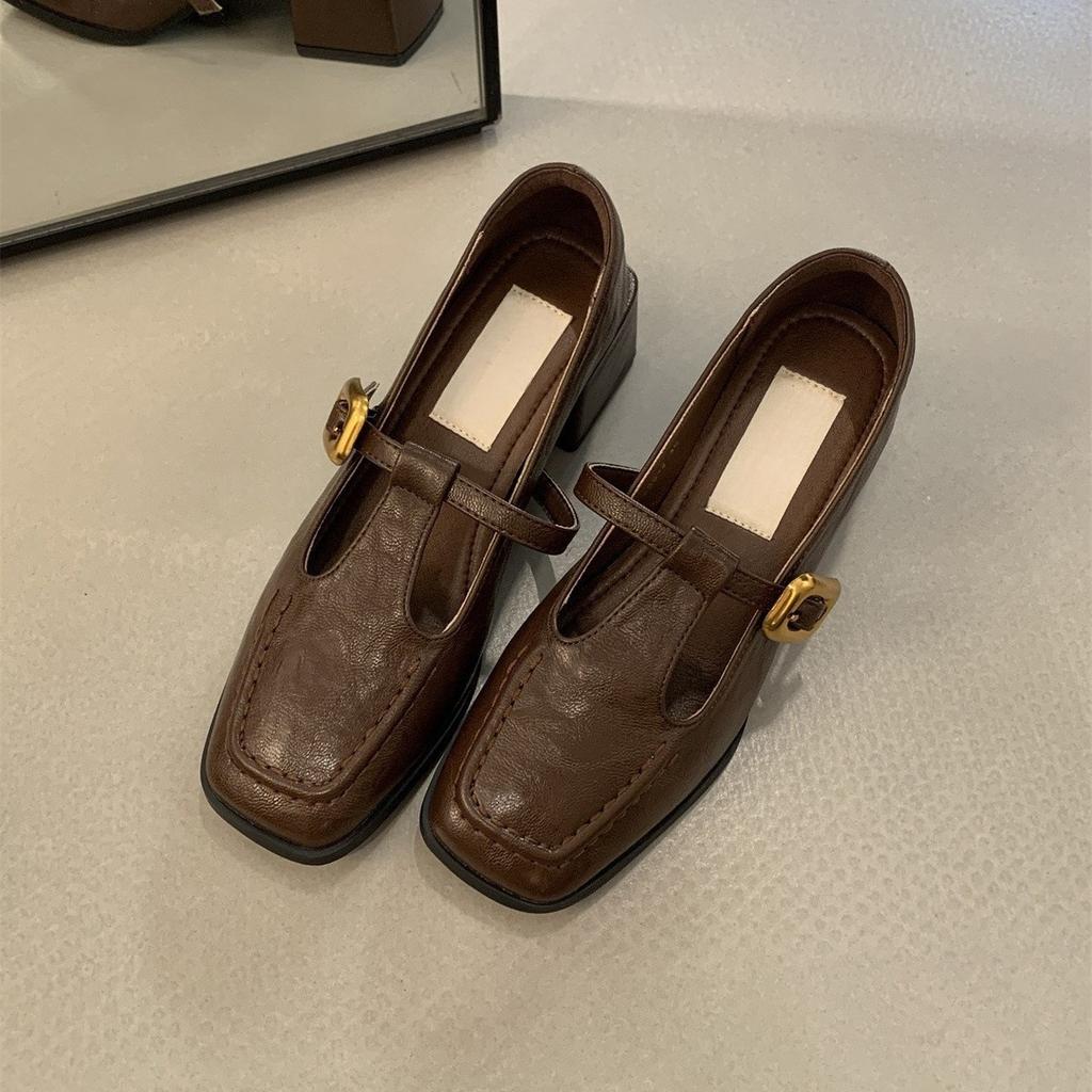 Retro Square Head Thick Heel Single Shoes Women's Spring and Autumn New Fairy High Heels Mary Jane Small Leather Shoes