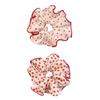 Hair Scrunchy Women Hair Bun Hairpieces Hair Scrunchies Female Headdress Teenager Girl Hair Styling Tool