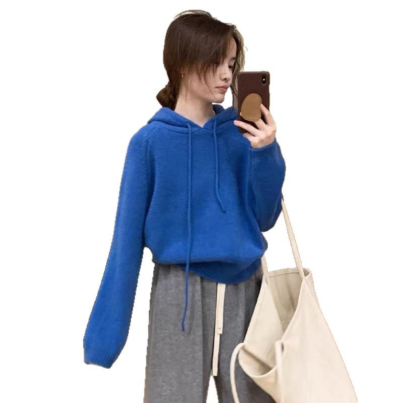 2025 Women's High-End European Style Pure Wool Hooded Sweater – Thick, Loose Knitwear for Autumn/Winter