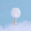 Double-ended Cotton Swabs - Precision Pointed and Rounded, Sterile Cosmetic Cotton Swabs, Makeup Remover Cotton Swabs