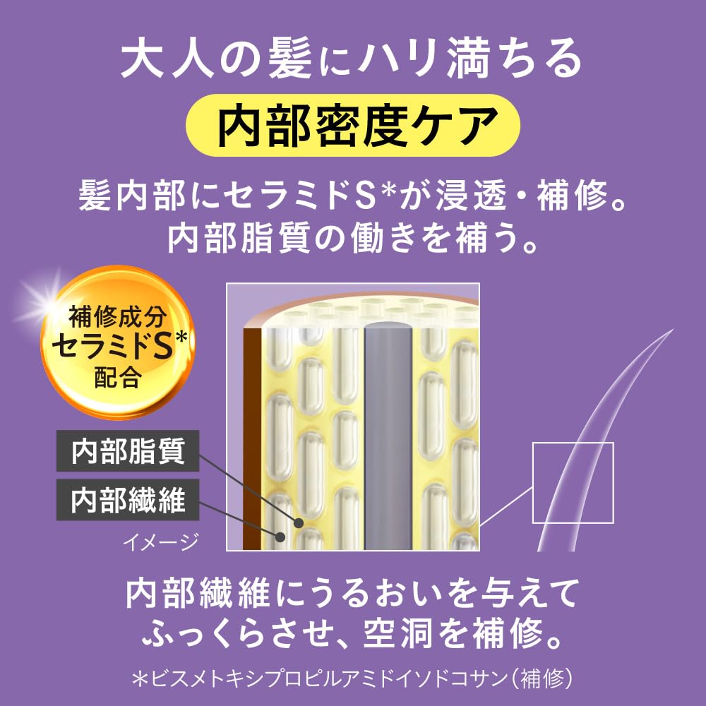 Segreta Shampoo Pump 430ml