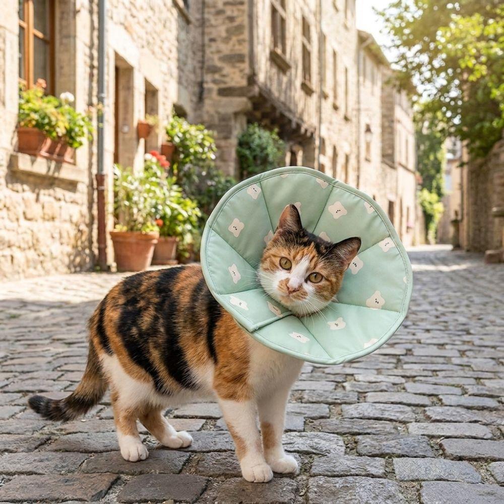 Breathable Pet Recovery Cone Soft Anti Licking Cat Collar Cute Pet Elizabethan Collar Pet Care