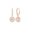 Swarovski Eine schlagendes Herz Rosegoldbeschichtete Ohrringe Damenohrringe 5504753