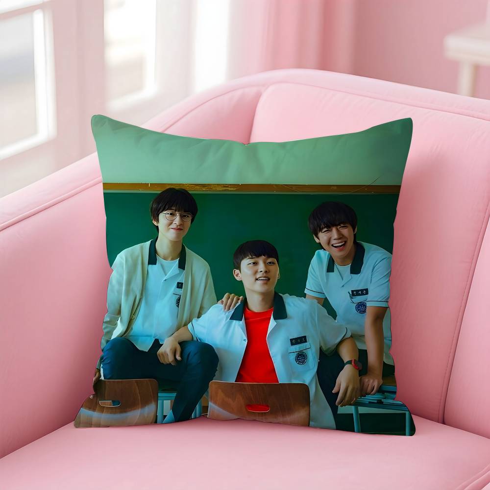 Hot Movie W-Weak Hero Class 1 Pillow Case Anti-Dustmite Pillowcase Invisible Zipper Silky Short Plush Sofa Cushion Cover