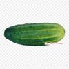 Cucumber Pickled Iron on Heat Transfer Printing Vinyl Patches Sticker for Clothes DIY Appliques Washable Patches