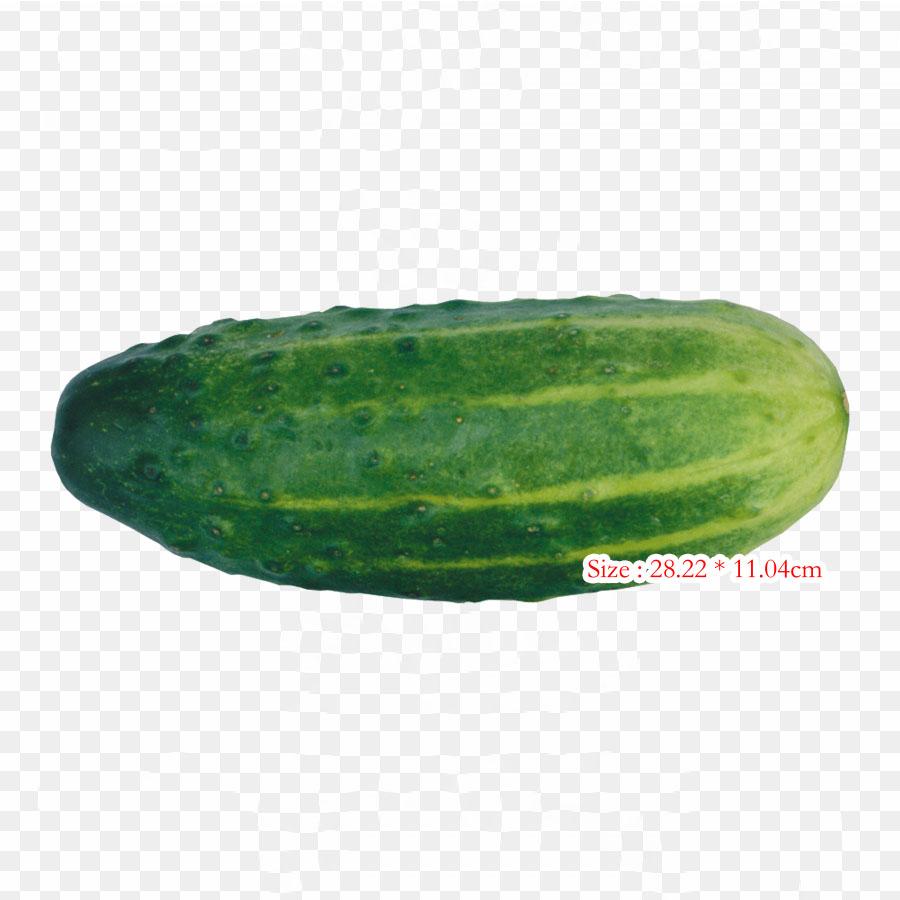 Cucumber Pickled Iron on Heat Transfer Printing Vinyl Patches Sticker for Clothes DIY Appliques Washable Patches