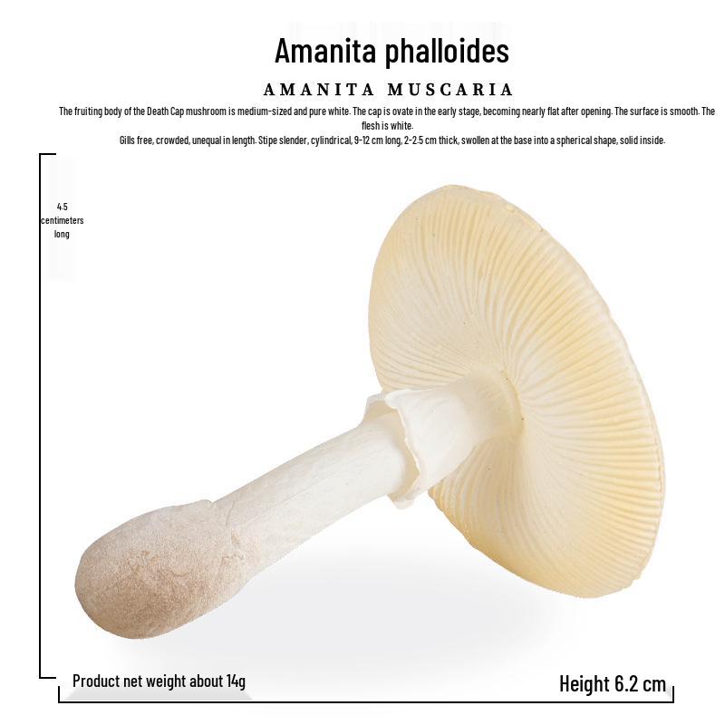 Simulated Vegetables & Mushrooms: Educational Props & Decorative Toys for Kindergarten