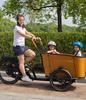 Family C 250W Mid-Drive Electric Cargo Bike for Kids, 4 Seats, 48V 13.4Ah Battery, 20"/26" Tires
