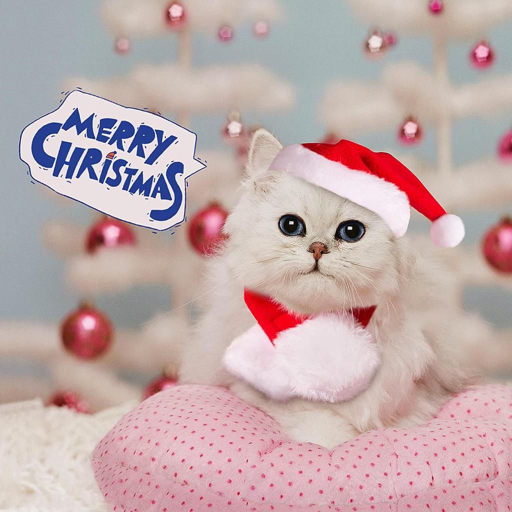 Christmas Hat Scarf Cute Small Dogs Cat Beanie Hat Pet Puppy Adjustable Santaa Hat Xmas Costume Outfit Set for Party Photo Props