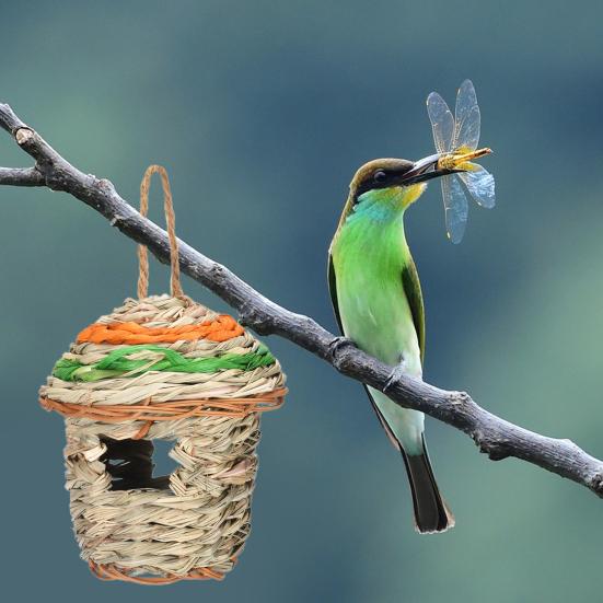 Hummingbird Nest House Bird Nest Natural Grass Contrast Color Hanging Breathable Manully Braided Dry Great Ventilation Heat Dissipation No Deformation