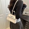 Niche Design Trendy Women's Bags New Versatile Fashion Simple Portable Shoulder Bag Crossbody Small Square Bag