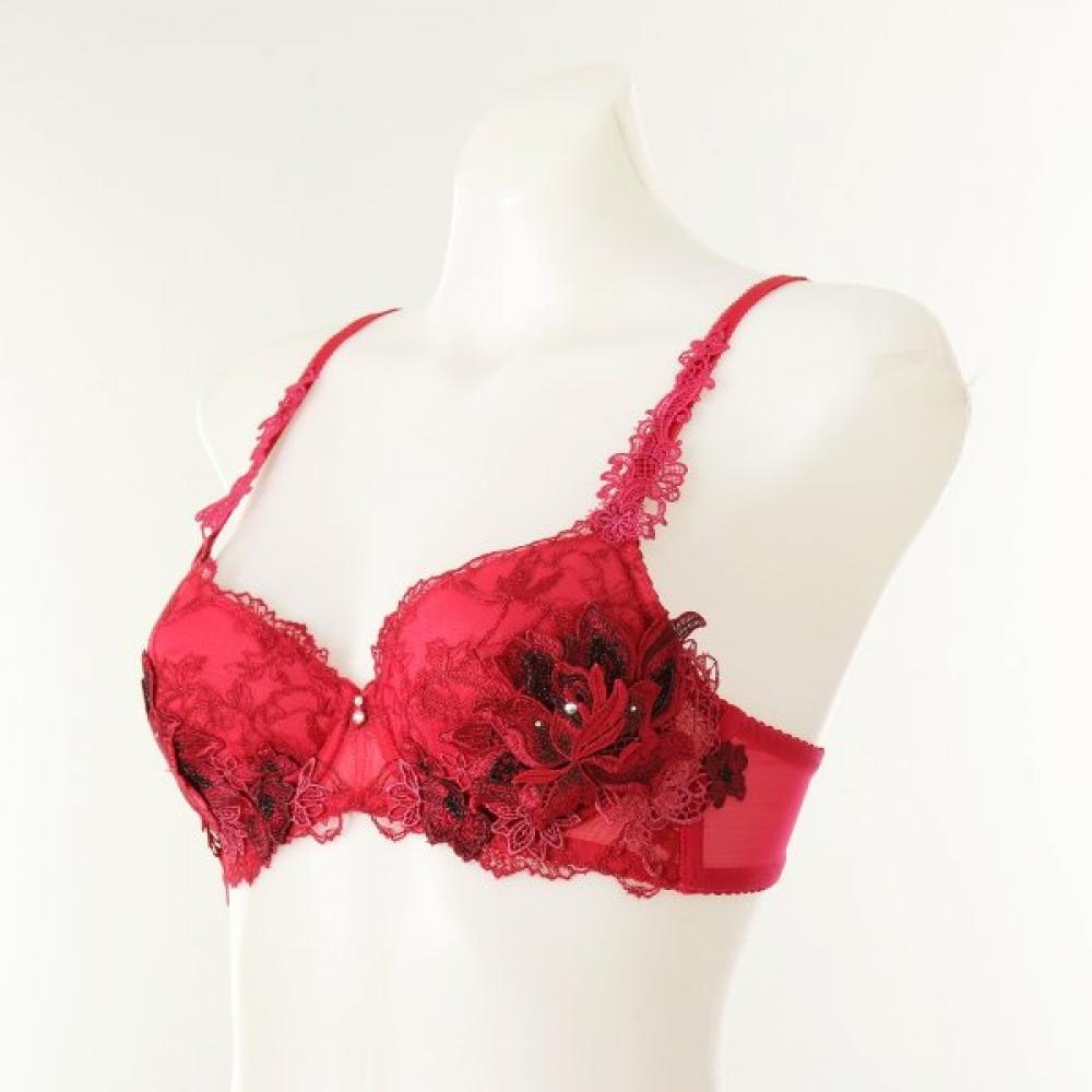 Wacoal Oriental Applique Pad Bra Ab cup[dbr0473Ab]