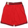 Nike Sports Shorts Men's Red Moderate DH7161-657