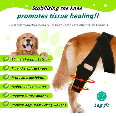 Genouillère pour animal de compagnie, réglable et confortable, barre de soutien pour la luxation de la hanche du chien, fixation postopératoire de la rotule, nouveau