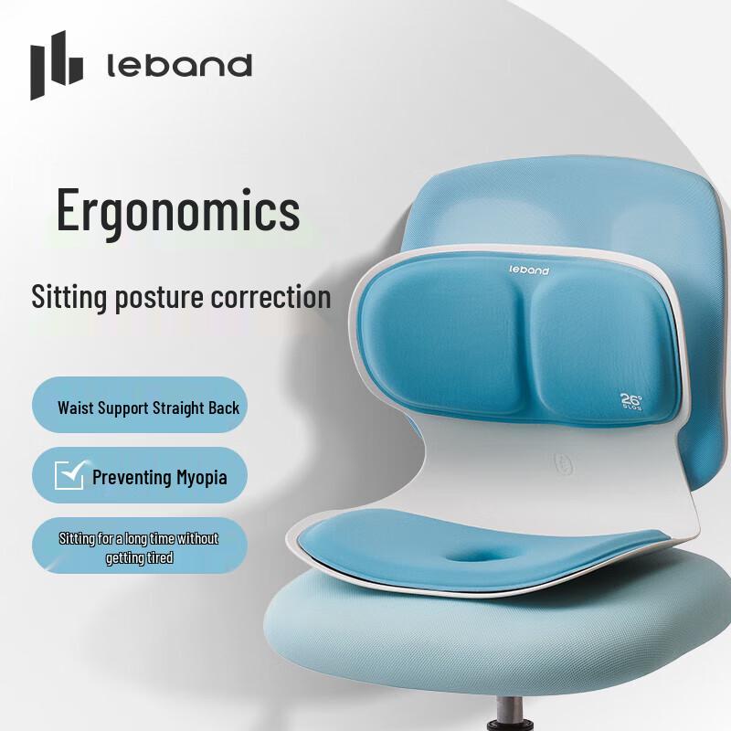 

LERAVAN Ergonomic Lumbar Support Backrest Cushion