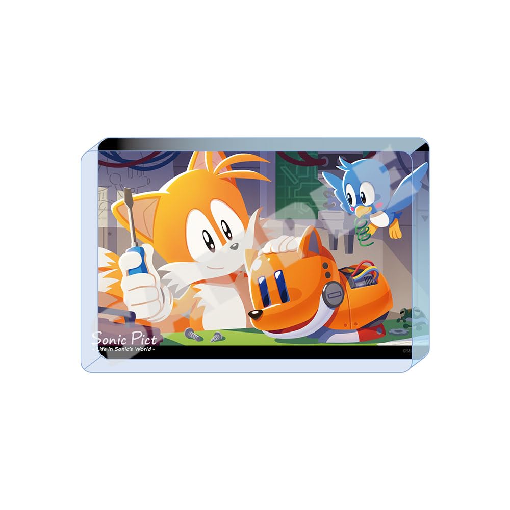 Sonic the Hedgehog" Acrylic Block (SONIC PICT) January 2023 "This will make it even better!