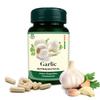 Ayurnet Garlic Capsules Helps To Regulates Cholesterol & Hyper Tension, | 60 Capsules 100gm 0.2lbs