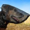 Adjustable Pet Protective Veil Mesh Pet Facial Protection Cover Mosquito Bites Protection  Outdoor