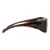 Alpina Overview A8354391 Unisex Sunglasses