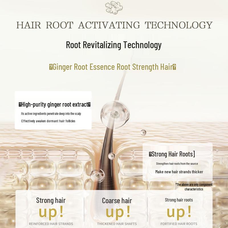 Shampoo per Capelli Giapponese Importato AnZhili 500ml