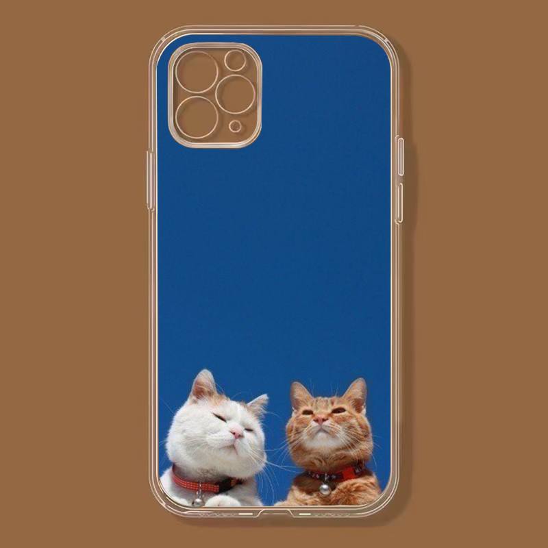 Etui na telefon Animal Friends dla iPhone 11 12 13 14 Pro Max 7 8 Plus X Xr Xs Max Se 2020 Mini Przezroczyste Etui