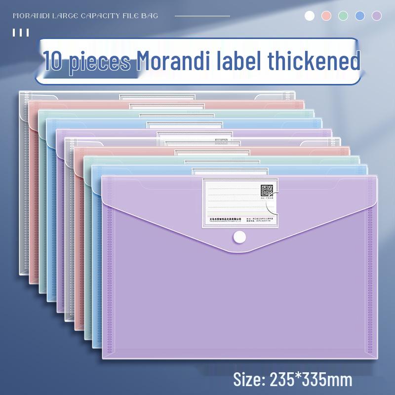 Transparent Large Capacity Snap Button File Bag for Students