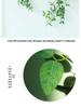 Luxurious Staircase Decor: Bionic Green Rose Vines & Leaves