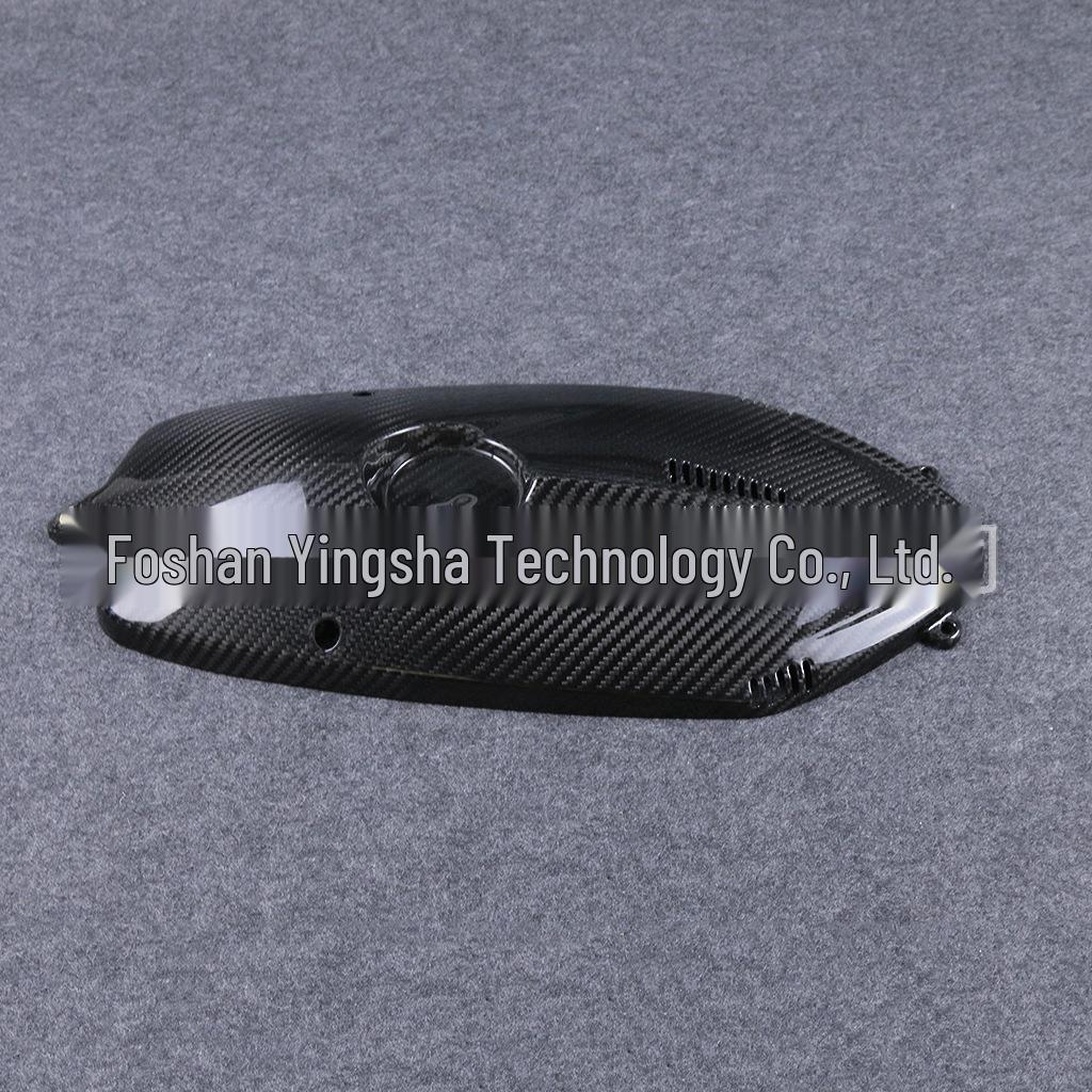BMW R Nine T (2015-2016) Carbon Fiber Engine & Water Cooler Cover