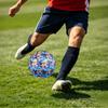 1pc Cuddly Kittens Blanket Theme Soccer Ball Football, Size 5, Lightweight PVC, Outdoor Training Soccer Ball,Gift c65141