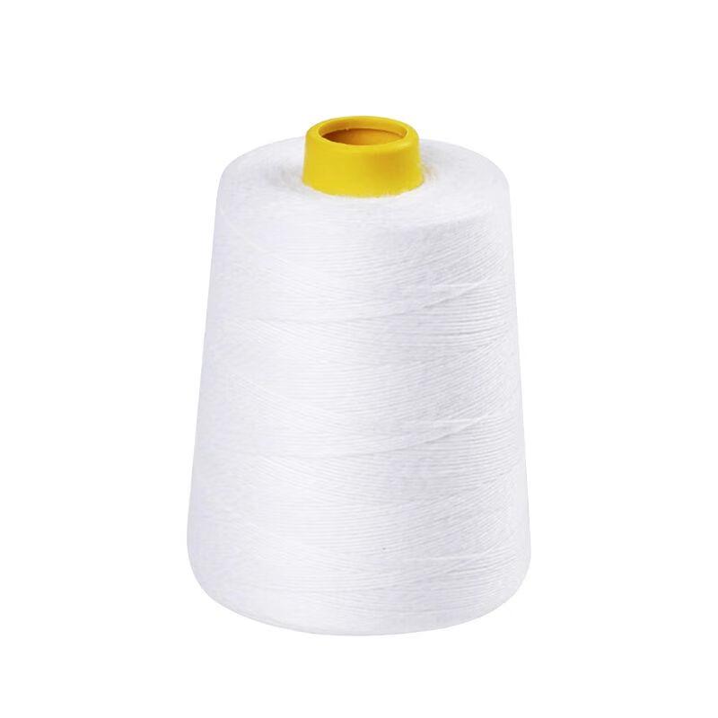 Portable Bag Sealing Machine Thread CN plug (adapter included)