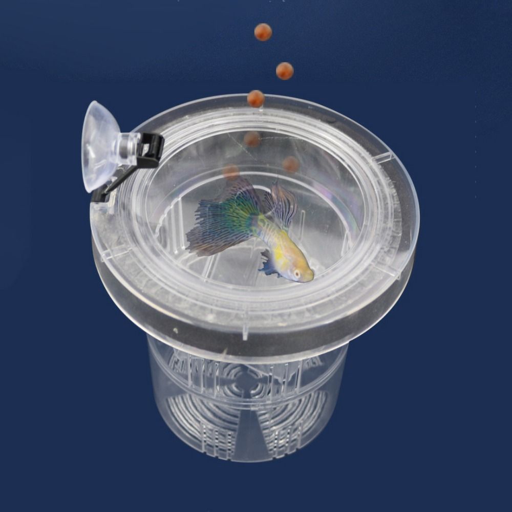 Suction Cup Floating Hatching Box Semi-transparent Aquarium Breeder Feeder  Aquarium