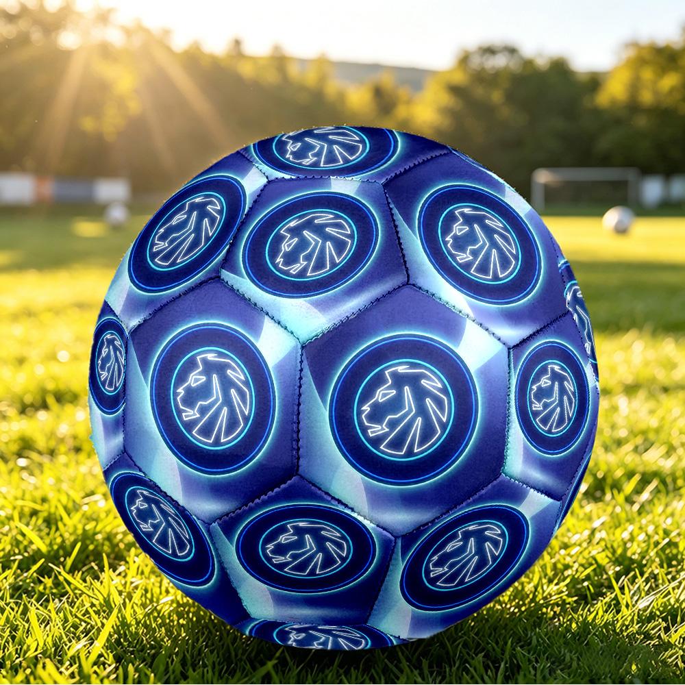 Millwall FootballPrinted Size 5 Soccer Ball, Anti Slip Adult Match Football Souvenir for Football Fans