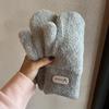 Winter Warmth Gloves For Women With Plush Lining For Commuting And Outdoor Activities