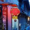 20CM Chinese Flocking Red Cloth Lantern Spring Festival Door Hanging Lamp Street Pendant for Traditional Outdoor Home Decoration