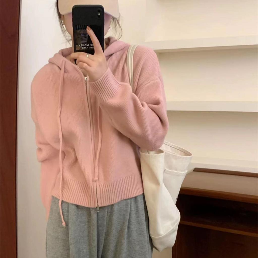 Knitted Hooded Double Zipper Short Cardigan Small Sweater Women's Spring and Autumn Temperament Simple Lazy Wind Sweater Jacket