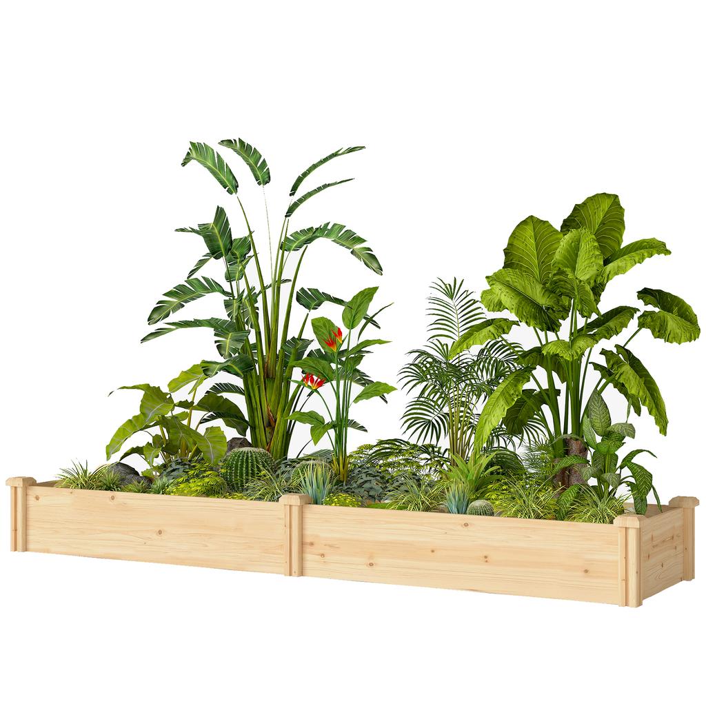 Raised Garden Bed Wood, Planting Bed with Partition, Open Bottom, Cold Frame Garden Bed, 235 x 66 x 26 cm, Natural Wood