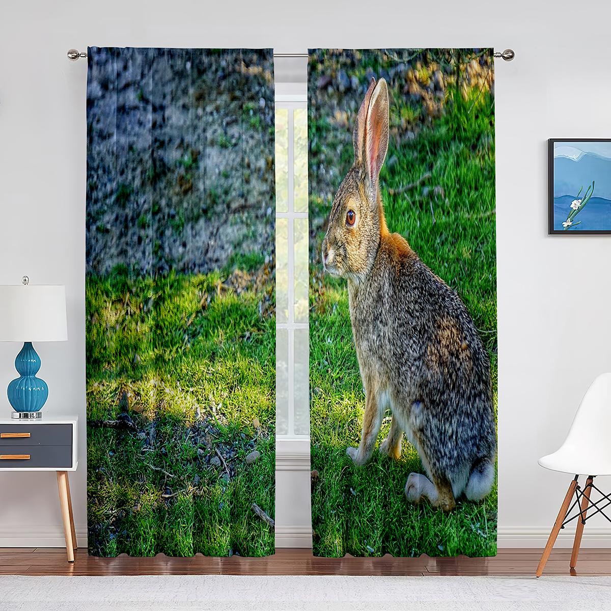 Прозрачные шторы с милыми котами и кроликами и маленькими животными для гостиной — фото 9