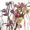 Artificial Flower Paphiopedilum Realistic Silk Plastic Petals Flexible Stems Long-Lasting No Watering Fake Orchid Home Decor