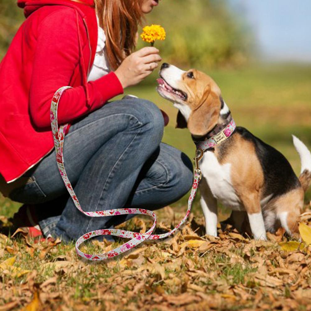 Gepersonaliseerde Bedrukte Hondenhalsband Lijn Set Op Maat Gemaakte Nylon Huisdierenhalsband Lijn Gratis Gegraveerd Naamplaatje Voor Kleine Middelgrote Grote Honden