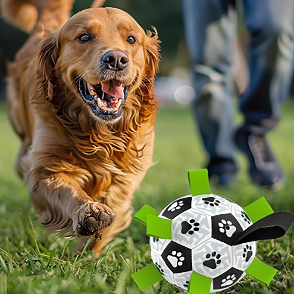 DICOCO Dog Soccer Ball TPU Chewing Suitable for All Safe and Secure Air Paw Print 19cm Ball, Shape, Ultra-Durable Coating, Reliever, Tug-of-War,