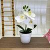 Botanical Phalaenopsis Faux Fake Flower Props For Bridal Events And Party Decor