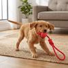 Round Shape Dog Chew Ball Cotton Rope Pet Rope Ball Small Dog Play Ball  Outdoor Fetch Game