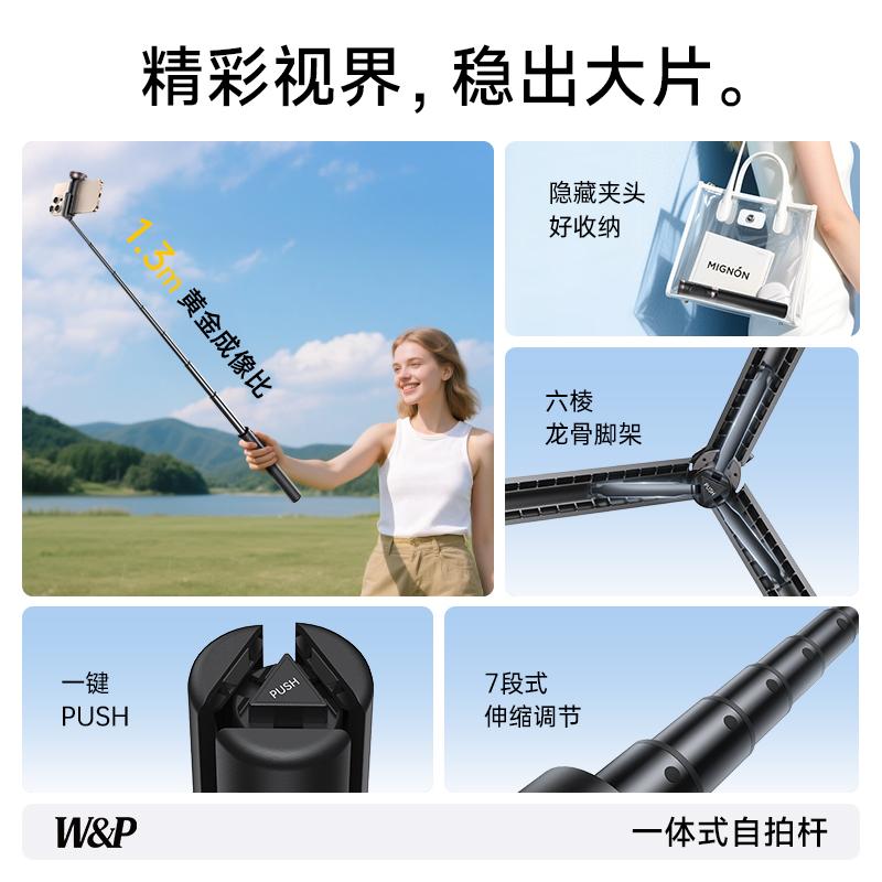 W&P Special Sale Mobile Selfie Stick with Tripod Stand